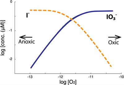 Iodine-to-calcium ratios in deep-sea scleractinian and bamboo corals